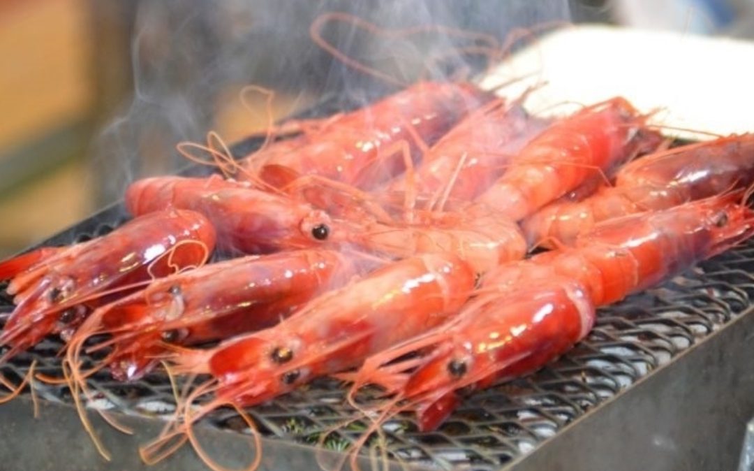 Gamba Roja de Dénia
